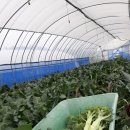 토담농장 이미지