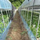 휴양림농장 이미지