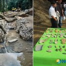 성문축산 이미지