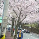 감천초교 이미지