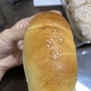 고르씨에 이미지