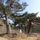 남사고유적지 이미지