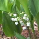 강변펜션 이미지