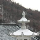 육지장사 이미지