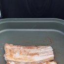 신진도드림 이미지