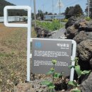 납읍초등학교 이미지