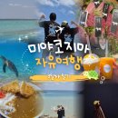 [미야코지마 자유여행] 3일차 일기