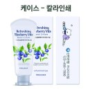 주주유통(과일나라) | [케이스 컬러인쇄 맞춤제작 핸드크림] 과일나라 리프레싱 블루베리 비타 60g – 블루베리 향과 비타민...