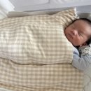 이씨이불 | 모로반사 방지 이불 추천! [머미쿨쿨 아기이불 올인원] 솔직후기