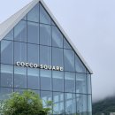 코코스퀘어 이미지