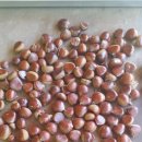 대황강민박 이미지