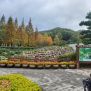 오작교작은도서관 | 부산 아이랑 가볼만한 곳 봄 가을 소풍가기 좋은 화명수목원