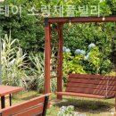 스테이라디오스타 이미지