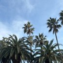 별빛소랑@제주 이미지