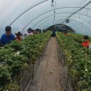 하단태권도체육관 이미지