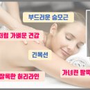 천사날개 이미지