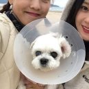 오라버니 이미지