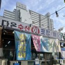 다온계절맛집 | 광주 서구 내방동 다온수산 후기, 숭어 + 갑오징어 조합에 스끼다시까지 완벽 👍
