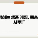 데이라이트 이미지