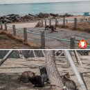 오시리아살롱