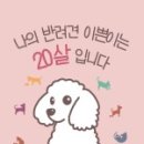 나의 반려견 이미지