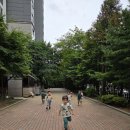 나무 수피 탁본 뜨기 이미지