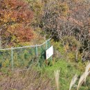 진부령 가는길 이미지