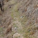 장군산길 이미지