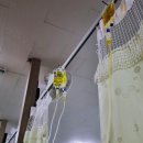 다사랑의원 이미지