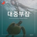 중부-현장-중부-2024 | 소류구 거북이 스노클링 전문업체 대중부잠 大眾浮潛 가격 당일예약 솔직후기