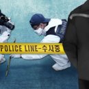 산책하다 이미지