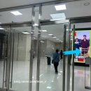 [피크민팝업]후기, 현장예매위치|빨리가는방법|가기...준비참고사항피크민블룸영등포바위피크민레드블루...