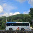 다리안민박 이미지