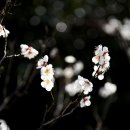 금호동 장미아파트 이미지