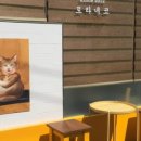 토라네코 - 동구 장동로 23-33 | 토라네코