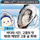 벌교숲공원 | 2026 전라도 겨울여행, 이보다 좋을까?｜지금 많이 찾는 축제·설경명소·겨울음식 정리