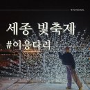 연기면 금강보행교 북측(우) | [세종]2023 세종 빛축제 금강보행교 이응다리 프로그램, 새해맞이행사