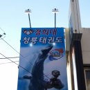 경희대 청룡태권도 이미지