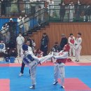 밀양 선인태권도 이미지