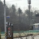 국수나무강릉 - 강릉시 선수촌로 79-15 | 강릉막국수 / 강릉점심 은행나무막국수 내돈내산 후기