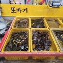 자갈치횟집 이미지