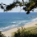 통일전망대 안보교육관 이미지