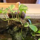 더샤인행정사사무소 이미지