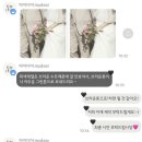 스튜디오 디어(STUDIO DEAR)