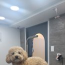 가오유치원 이미지