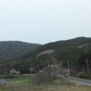 죽림주유소 이미지