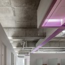 라넌클의원 이미지