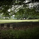 대률초등학교 이미지