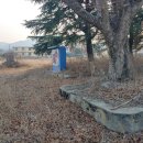 남산초등학교삼성분교장 네이버블로그