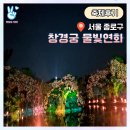 화평4거리 ~ 송현초등학교 | 2025 창경궁 물빛연화 전체상영 시간 - 관람팁, 야간개장 춘당지 가는길